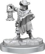 Dungeons & Dragons Frameworks: W02A Male Halfling Rogue