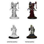 Dungeons & Dragons Nolzur`s Marvelous Unpainted Miniatures: Green Hag & Night Hag
