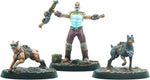 Fallout: Wasteland Warfare- Raiders- Pack Top Dogs