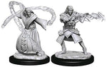 Dungeons & Dragons Nolzur`s Marvelous Unpainted Miniatures: W13 Elf Wizard Male