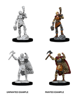 Dungeons & Dragons Nolzur`s Marvelous Unpainted Miniatures: W12 Female Human Barbarian