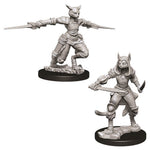 Dungeons & Dragons Nolzur`s Marvelous Unpainted Miniatures: W9 Female Tabaxi Rogue