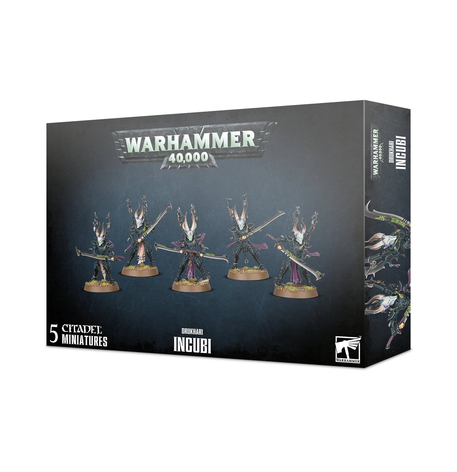 Warhammer 40K: Drukhari Incubi