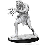 Dungeons & Dragons Nolzur's Marvelous Unpainted Miniatures Troll