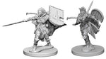 Deep Cuts Pathfinder Unpainted Miniatures Human Female Paladin
