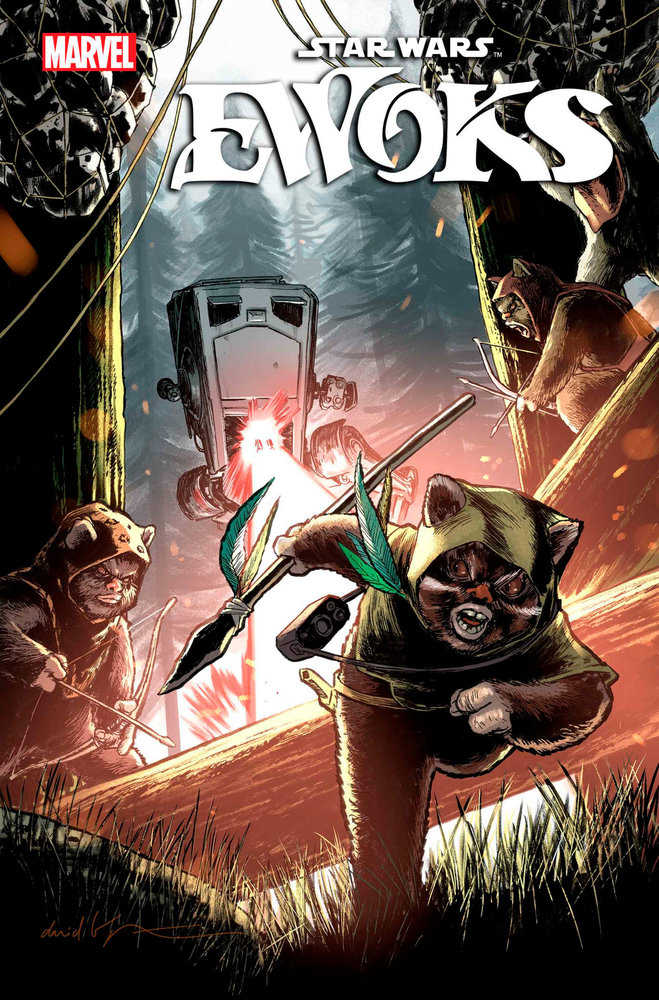 Star Wars Ewoks 