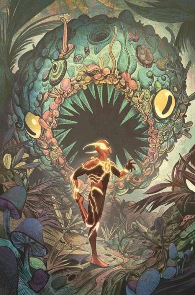 Flash 