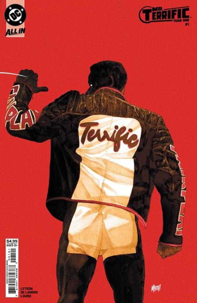 Mr Terrific Year One 