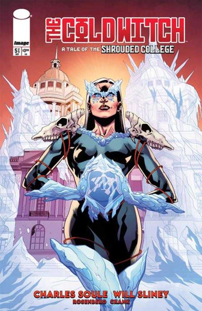 Cold Witch A Tale Of The Shrouded College 