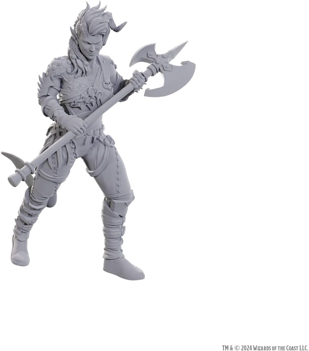 Dungeons & Dragons: Nolzur's Marvelous Unpainted Miniatures - Special Edition Baldur's Gate 3, Wyll & Karlach