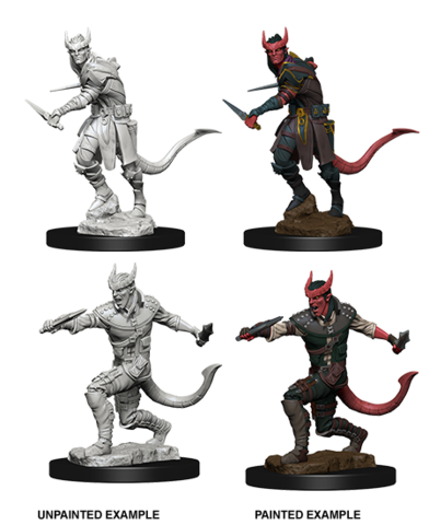 Dungeons & Dragons Nolzur`s Marvelous Unpainted Miniatures: Tiefling Male Rogue