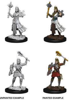 Dungeons & Dragons Nolzur`s Marvelous Unpainted Miniatures: W8 Female Human Cleric