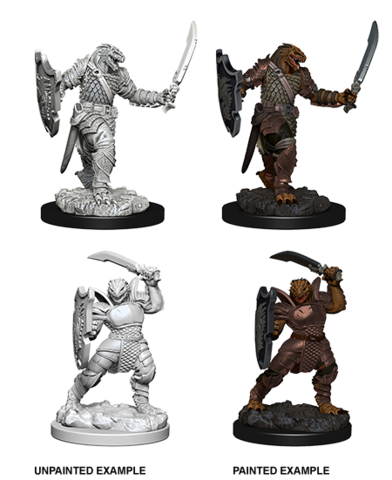 Dungeons & Dragons Nolzur`s Marvelous Unpainted Miniatures: Dragonborn Female Paladin