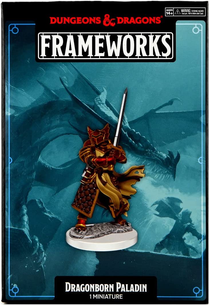 Dungeons & Dragons Frameworks: W01 Dragonborn Paladin Male