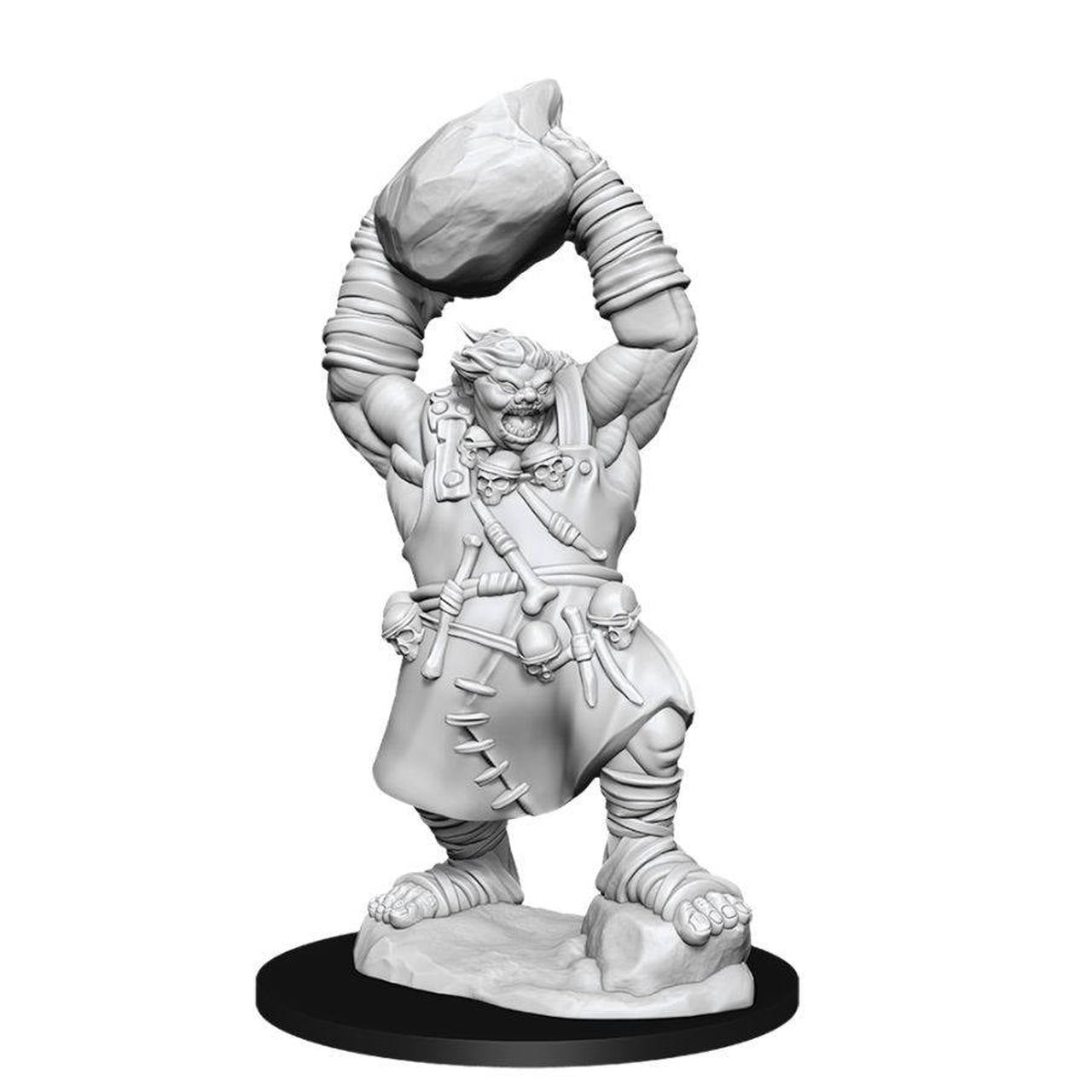 Pathfinder Deep Cuts Unpainted Miniatures: W11 Ogre