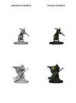 Dungeons & Dragons Nolzur`s Marvelous Unpainted Miniatures: Elf Male Druid