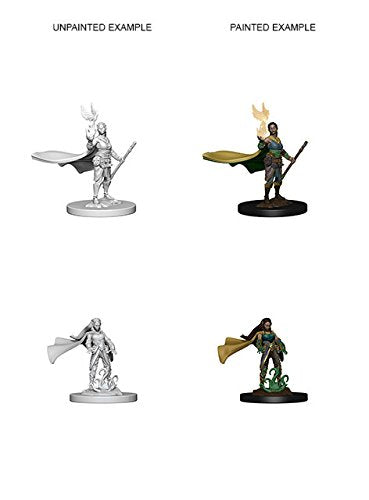 Dungeons & Dragons Nolzur`s Marvelous Unpainted Miniatures: Elf Female Druid