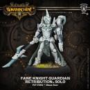 Warmachine: Retribution of Scyrah Fane Knight Guardian Solo
