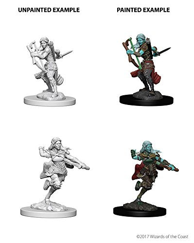Dungeons & Dragons Nolzur`s Marvelous Unpainted Miniatures: Air Genasi Female Rogue