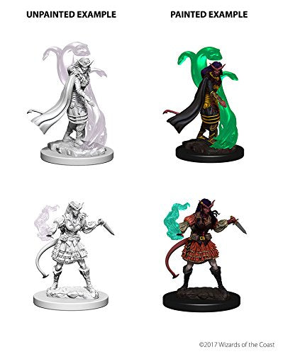 Dungeons & Dragons Nolzur`s Marvelous Unpainted Miniatures: Tiefling Female Sorcerer