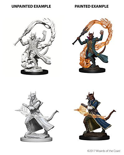 Dungeons & Dragons Nolzur`s Marvelous Unpainted Miniatures: Tiefling Male Sorcerer