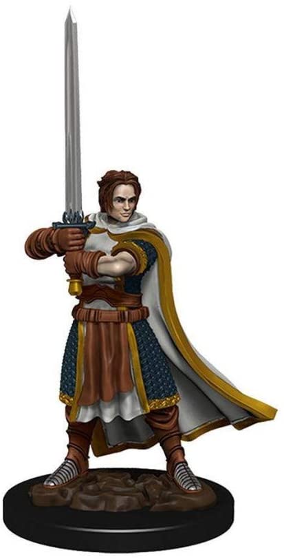 Dungeons & Dragons Fantasy Miniatures: Icons of the Realms Premium Figures W4 Human Cleric Male