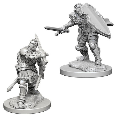 Dungeons and Dragons Nolzur's Marvelous Miniatures Human Paladin Male