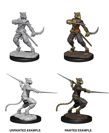 Dungeons & Dragons Nolzur`s Marvelous Miniatures: W7 Male Tabaxi Rogue
