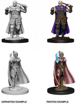 Dungeons & Dragons Nolzur`s Marvelous Unpainted Miniatures: W8 Minsc & Delina