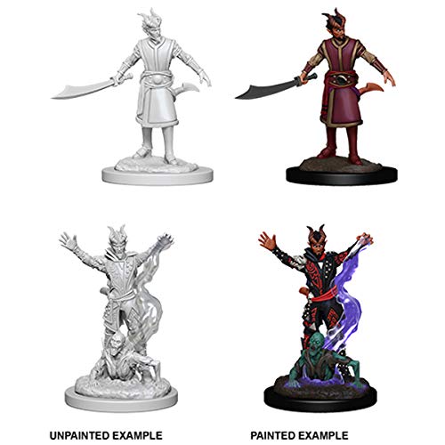 Dungeons & Dragons Nolzur`s Marvelous Unpainted Miniatures: Male Tiefling Warlock