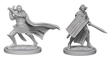Pathfinder Deep Cuts Elf Male Paladin