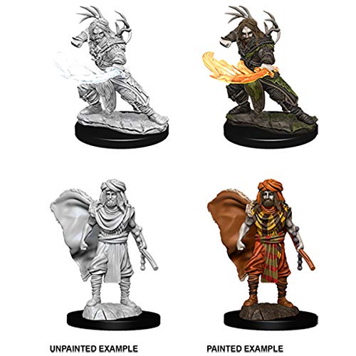 Dungeons & Dragons Nolzur`s Marvelous Unpainted Miniatures: Male Human Druid