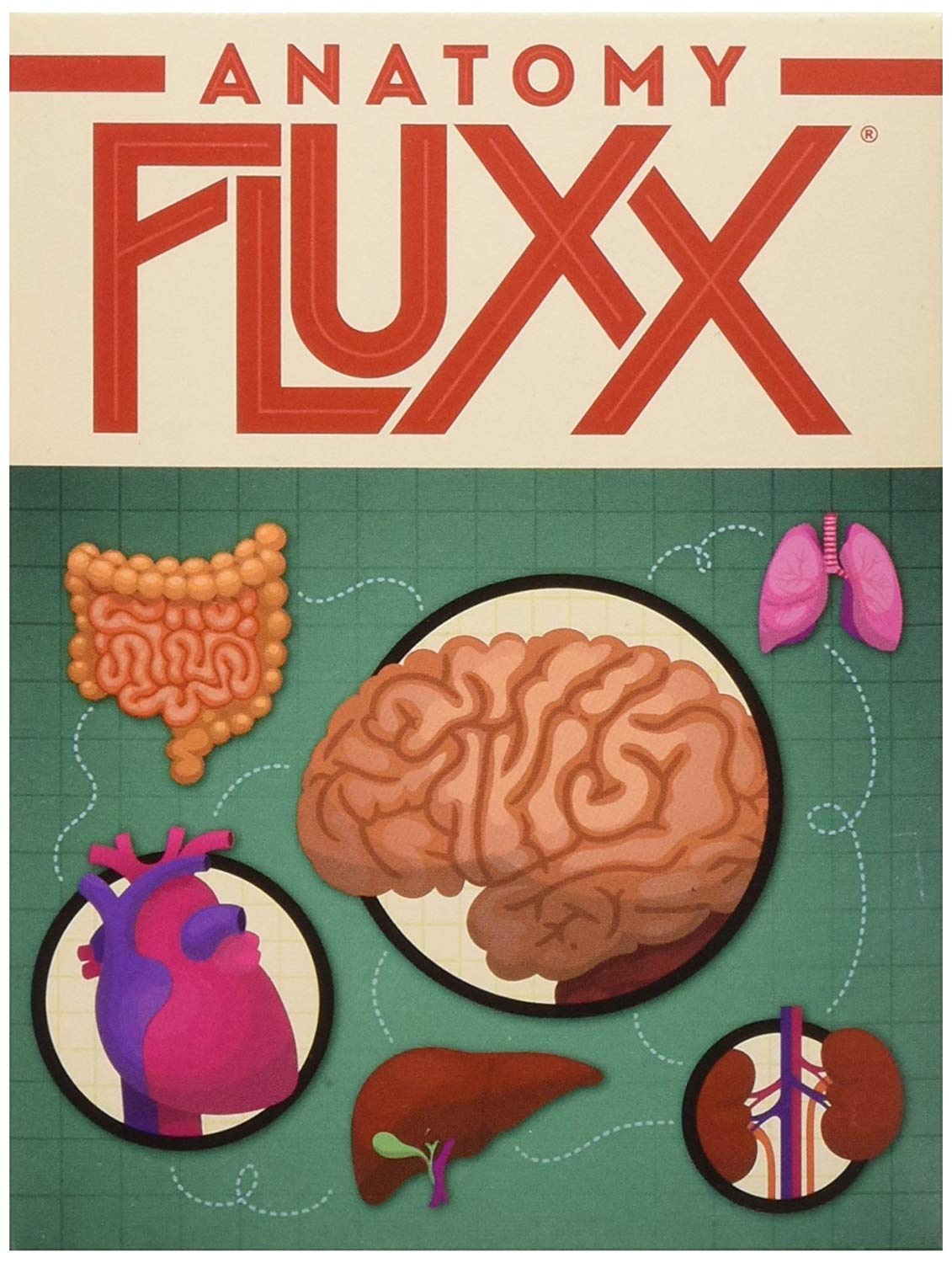 Anatomy Fluxx