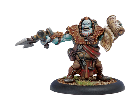 Hordes Trollbloods Stone Scribe Chronicler Solo