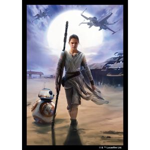 Star Wars Art Sleeves (50ct) Rey (The Force Awakens)