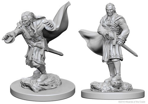 Dungeons & Dragons Nolzur's Marvelous Unpainted Miniatures Vampires