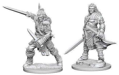 Deep Cuts Pathfinder Unpainted Miniatures Human Male Fighter