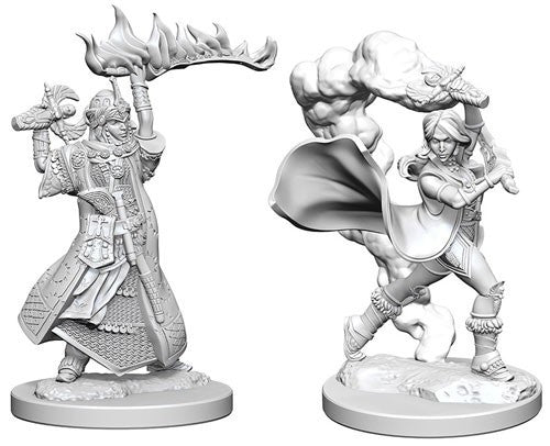 Deep Cuts Pathfinder Unpainted Miniatures Human Female Cleric